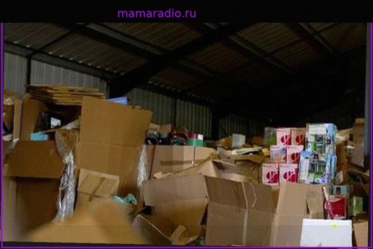 Live Shopping: Новая Эра Онлайн-Торговли, Захватывающая Французов