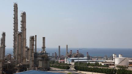 Смерть Элизы Пиларски: "Если Кёртис виновен, убейте его, усыпите, или я сделаю это", — заявил бывший сожитель и владелец собаки в первый день судебного процесса