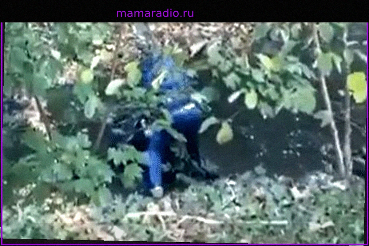 Задержаны двое после избиения полицейского в Бельфоре во время протестов школьников