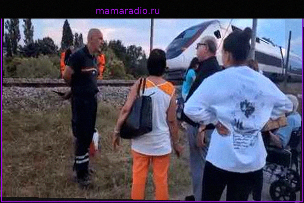 Проблемы с поездом SNCF в Варе: жара и пожары нарушают движение