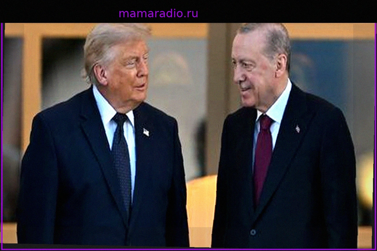 На саммите НАТО в Турции Дональд Трамп восхваляет свою «алхимию» с Реджепом Тайипом Эрдоганом и критикует европейцев