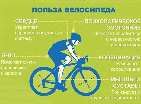 Регулярная езда на велосипеде — простой способ сохранить здоровье мозга