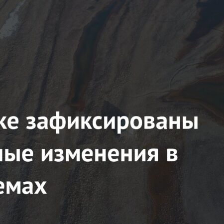 В Арктике происходят тревожные изменения экосистем