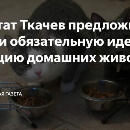 Депутат Ткачев предложил ввести обязательную идентификацию домашних животных