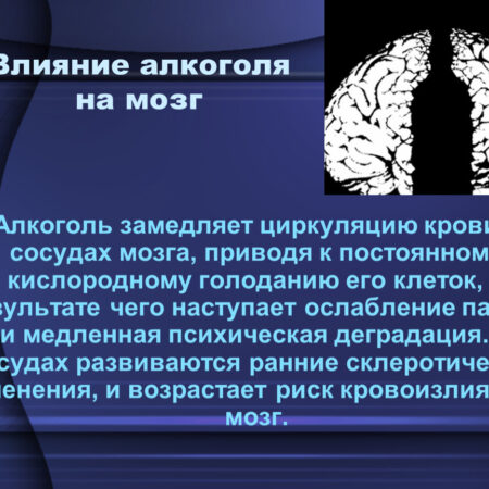 Новое исследование о вреде алкоголя для мозга