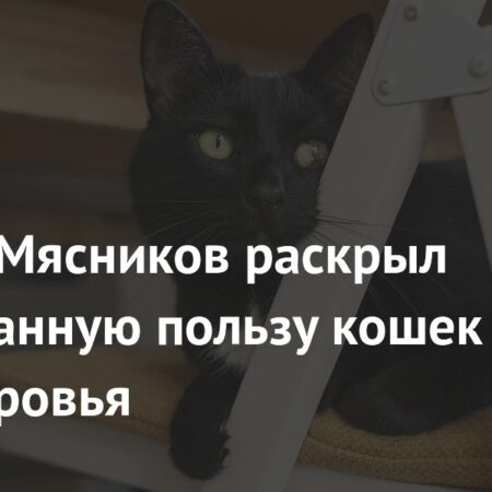 Раскрыта неожиданная польза сплетен