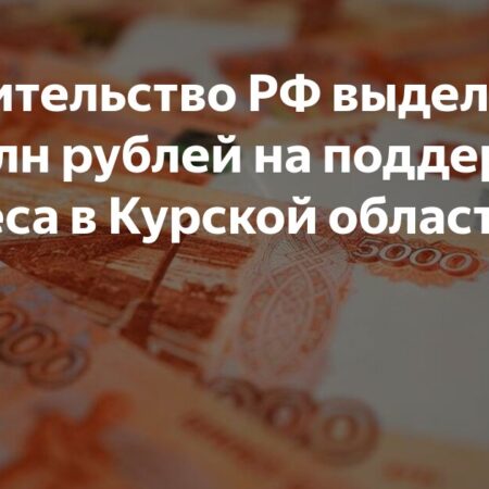 На поддержку бизнеса в Курской области дополнительно выделили 165 млн рублей