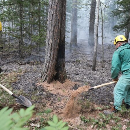 РУСАЛ продолжает поддерживать защиту лесов Красноярья от огня