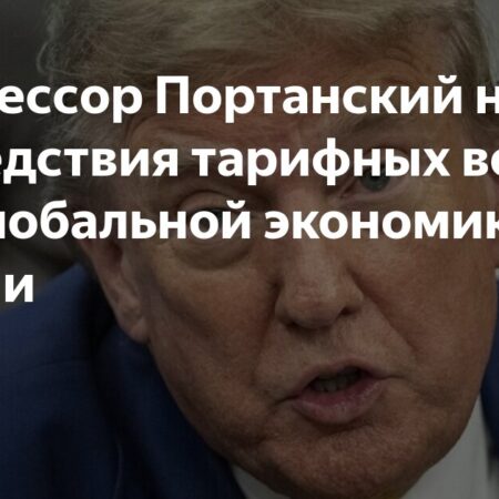 Влияние тарифных войн на мировую экономику и Россию: анализ профессора Портанского