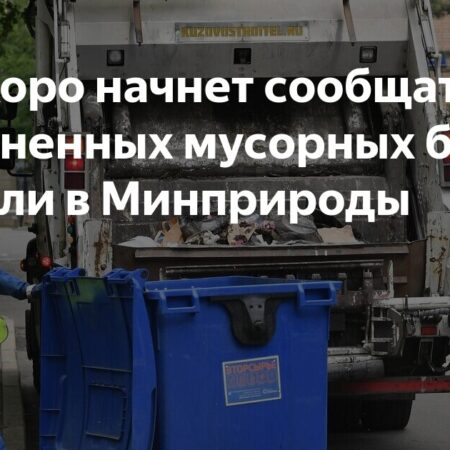 ИИ будет сообщать о заполненности мусорных баков, заявили в Минприроды