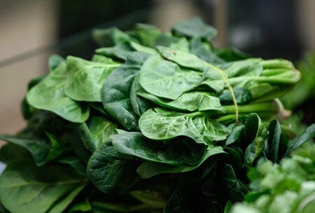 Невероятные преимущества шпината и капусты для здоровья