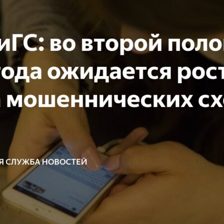 РАНХиГС: ожидается рост мошеннических схем во второй половине 2025 года