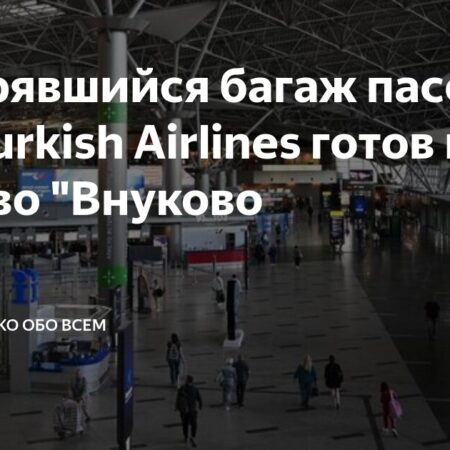 Потерявшийся багаж Turkish Airlines готов к выдаче во Внуково