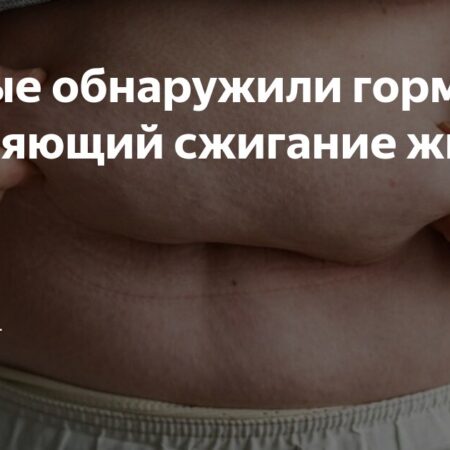 Обнаружен природный активатор сжигания жира: белок FGF19