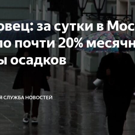 В Москве за сутки выпало почти 20% месячной нормы осадков