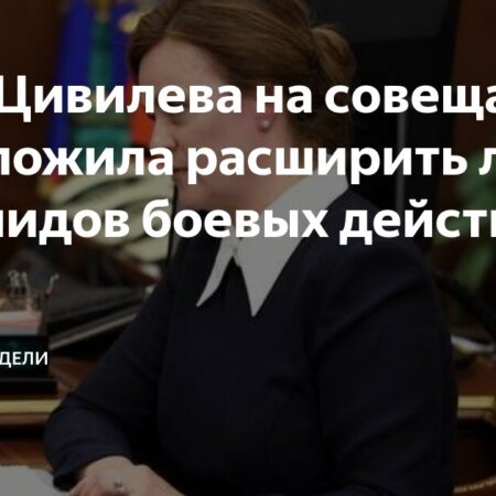 Анна Цивилева предложила расширить льготы для всех инвалидов боевых действий