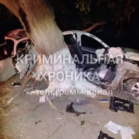 МВД: Смертность на дорогах России снизилась на 20%