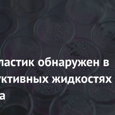 В репродуктивных жидкостях человека обнаружен микропластик