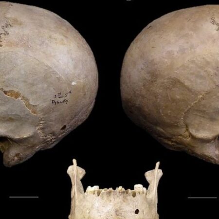 Впервые полностью расшифрован геном древнего египтянина
