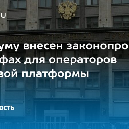 В Госдуму внесли законопроект о штрафах операторов цифровых платформ