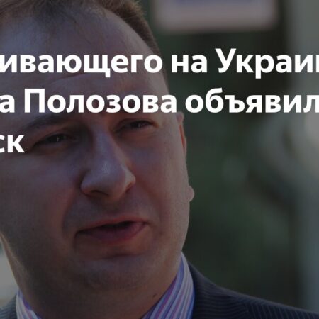 МВД России объявило в розыск адвоката Николая Полозова* по уголовной статье
