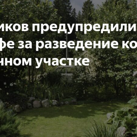 Дачников предупредили о штрафе за разведение костра на дачном участке