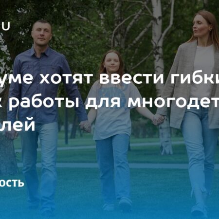 Депутаты СРЗП внесут проект о гибком графике работы для многодетных родителей