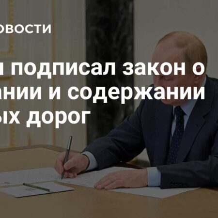 Путин подписал закон, определяющий понятие лесных дорог в законодательстве