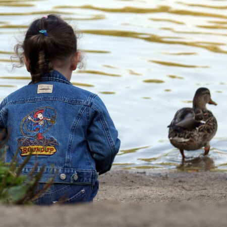 Дети на крючке: смогут ли власти защитить их от действий мошенников