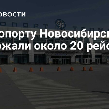 В аэропорту Новосибирска Толмачёво задерживается прибытие около 20 рейсов