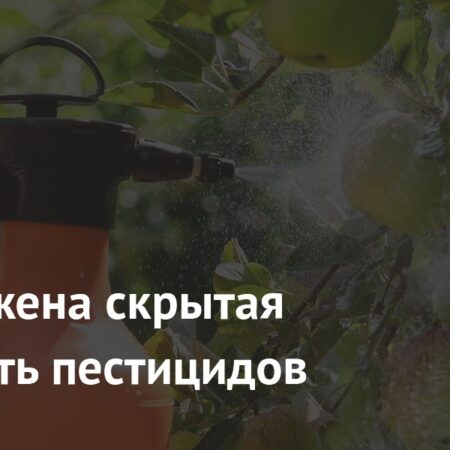 Обнаружена скрытая опасность пестицидов