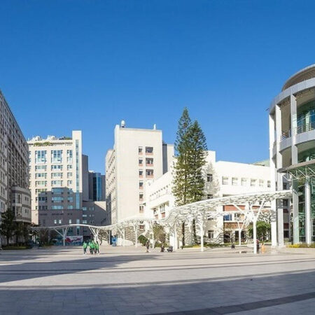 Пищевые подсластители провоцируют раннее половое созревание детей