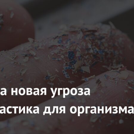 Микропластик вызывает злокачественные изменения в клетках легких