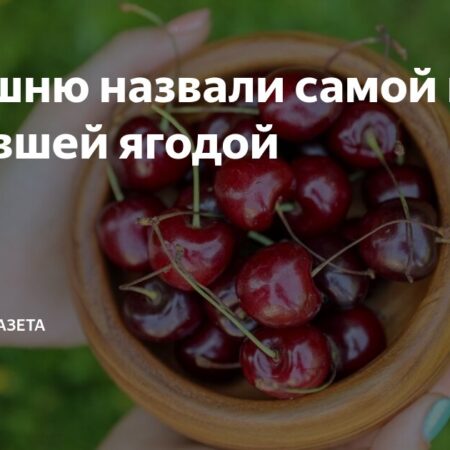 Рекордный скачок цен на черешню в России: стоимость выросла до 38%