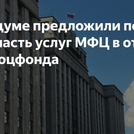Депутат Госдумы предложил расширить спектр услуг Социального фонда России