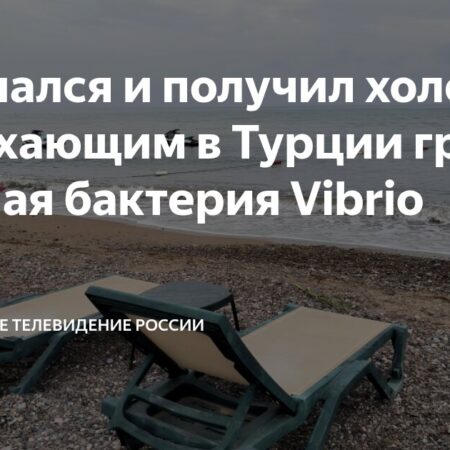 В Турции выявлены опасные бактерии Vibrio: что нужно знать туристам