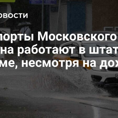 Московские аэропорты функционируют в штатном режиме, несмотря на сильный дождь