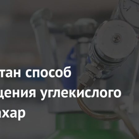 Разработан способ превращения углекислого газа в сахар