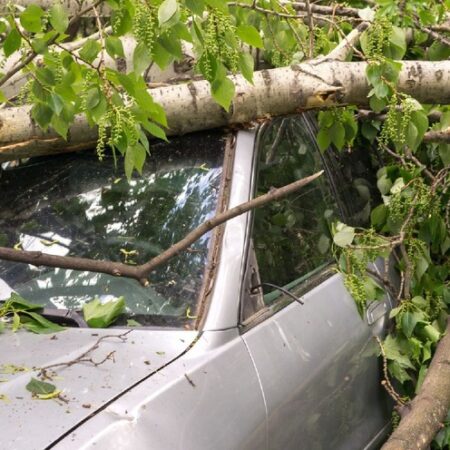 Звиададзе: как получить компенсацию за повреждения авто от стихии