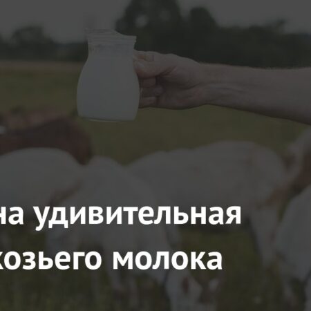 Удивительные свойства козьего молока в борьбе с потерей мышечной массы
