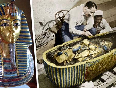 Удивительное открытие: Гриб из гробницы Тутанхамона помогает бороться с раком