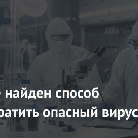 Прорыв в науке: Найден способ предотвратить распространение опасного вируса HTLV-1