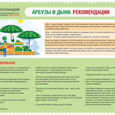 Как выбрать арбуз и дыню: советы Роспотребнадзора