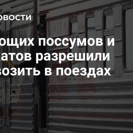 ФПК расширяет список разрешенных к перевозке в поездах животных: теперь можно брать поссумов и сурикатов