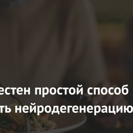 Интервальное питание: ключ к замедлению нейродегенерации?