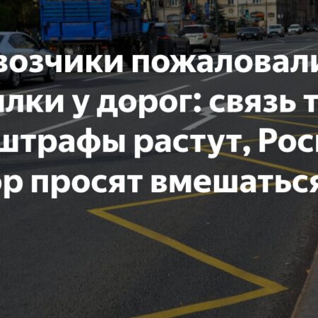 Автоперевозчики требуют от Роскомнадзора разобраться с дорожными «глушилками»