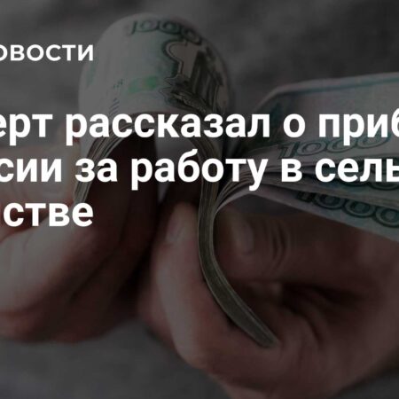 Прибавка к пенсии для сельских работников в 2025 году: разъяснения эксперта