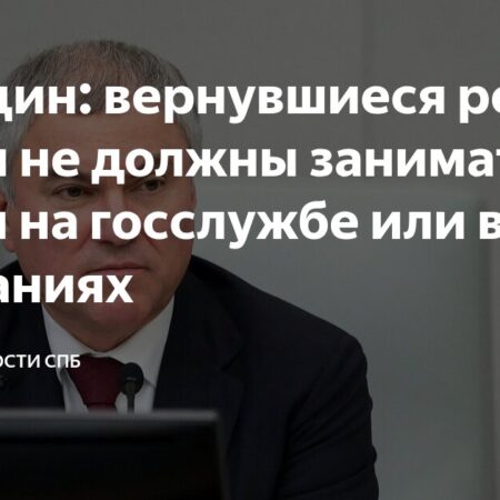 Володин: Возвращенцы-релоканты не должны занимать госдолжности