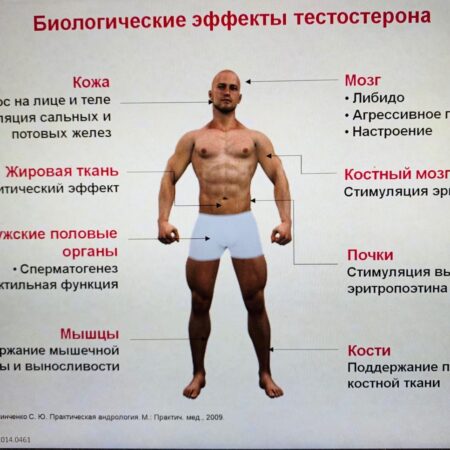 Коронавирус и мужское здоровье: как COVID-19 снижает уровень тестостерона