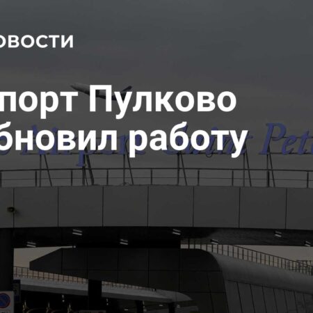 Аэропорт Пулково возобновил работу